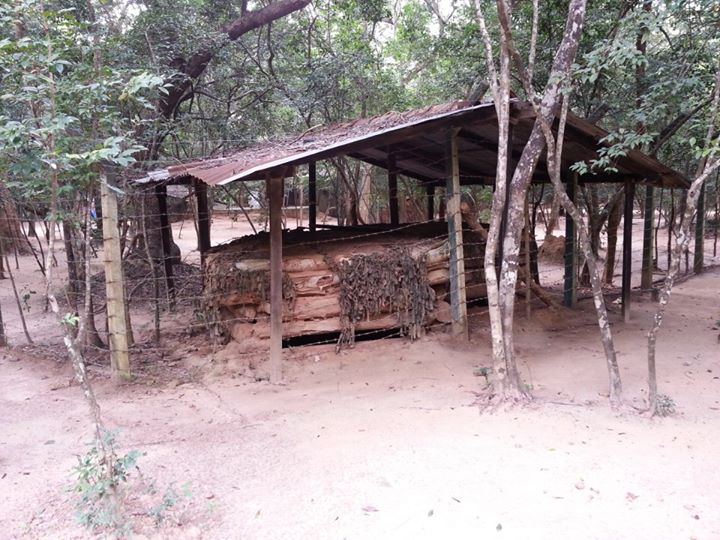 LTTE Bunker In The Vanni Jungle