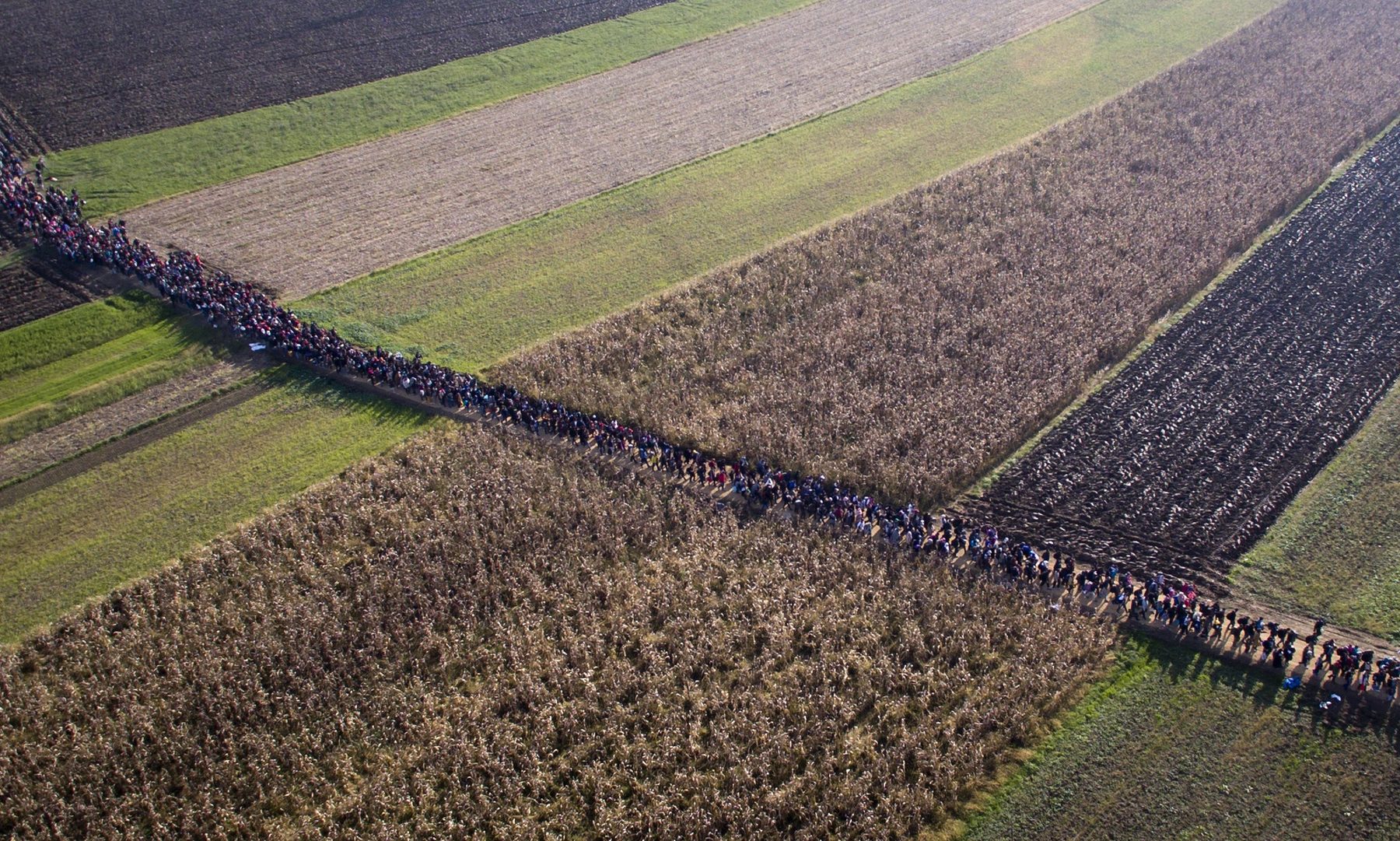Slovenia refugees 2303